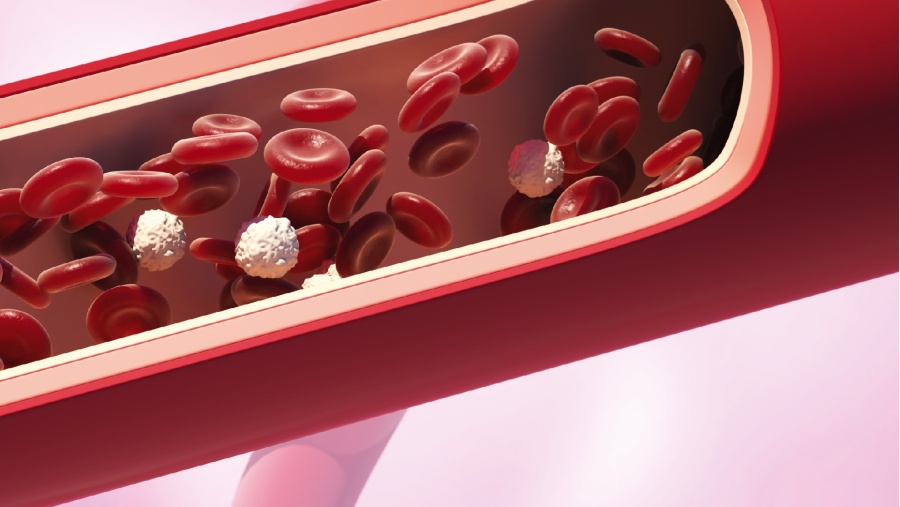 Červené světlo jako štít proti krevním sraženinám